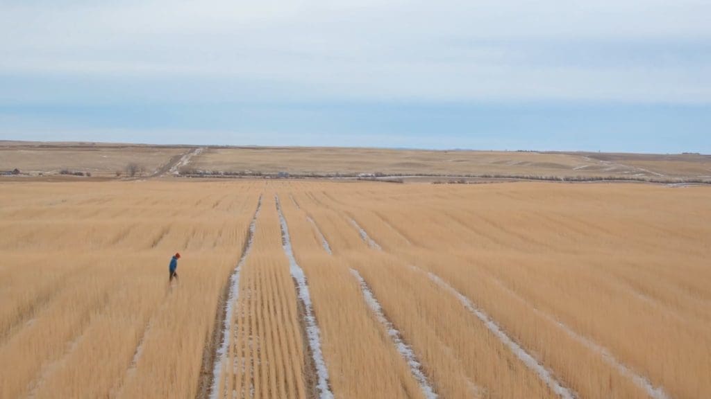 Annie's: Food Matters